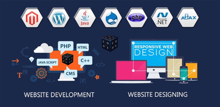Web Development and Designing Training